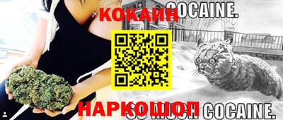 скорость Будённовск