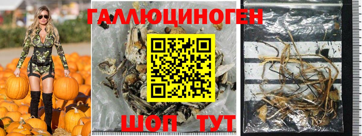 Галлюциногенные грибы GOLDEN TEACHER Курск